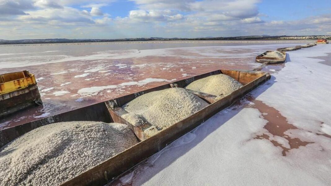 terremoto-de-2,2-grados-con-epicentro-en-el-corazon-de-la-laguna-rosa-de-torrevieja