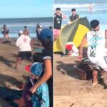 276560-salvaje-pelea-entre-vendedores-ambulantes-en-las-playas-de-villa-gesell