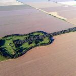 334884-la-melodia-verde-del-sur-de-cordoba-el-enorme-acto-de-amor-que-florecio-en-forma-de-guitarra