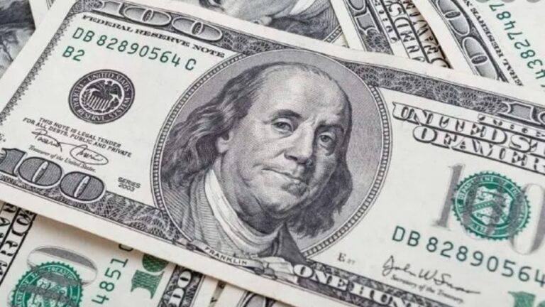 A cuánto cotizan el dólar blue y el dólar oficial este domingo