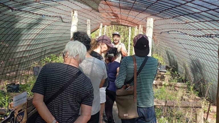 Educación verde: el Aula Ambiental reunió a más de 60 participantes