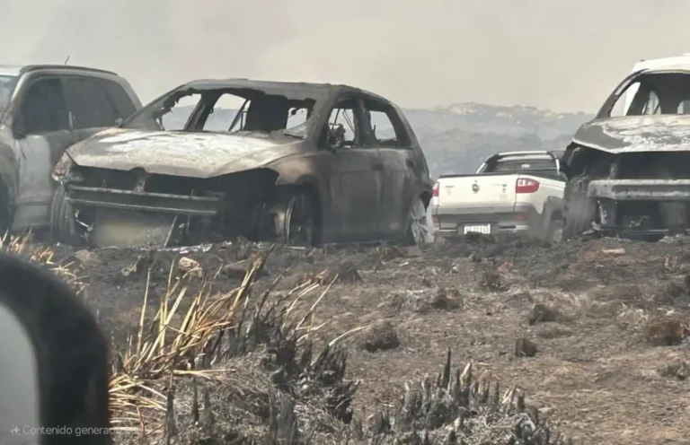 El fuego arrasó con más de una docena de autos en el Parque Nacional Quebrada del Condorito