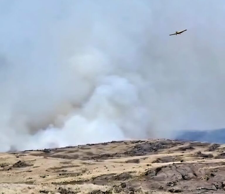 Combaten un incendio forestal en el Parque Nacional Quebrada del Condorito