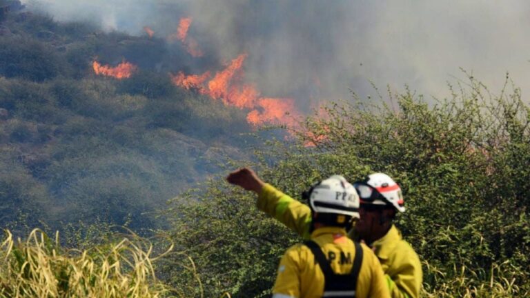 Contienen el fuego en Giardino y Chañar, pero la Quebrada del Condorito sigue ardiendo