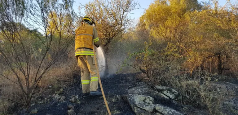Reinicio complicado en el incendio forestal de Villa Giardino