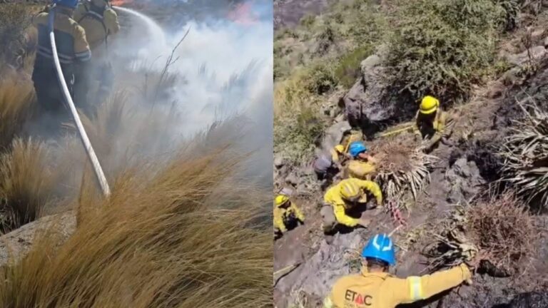 Videos del frente del fuego: la lucha para contener las llamas y quitar la vegetación combustible