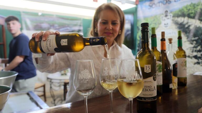Comienza la Cata de Moriles