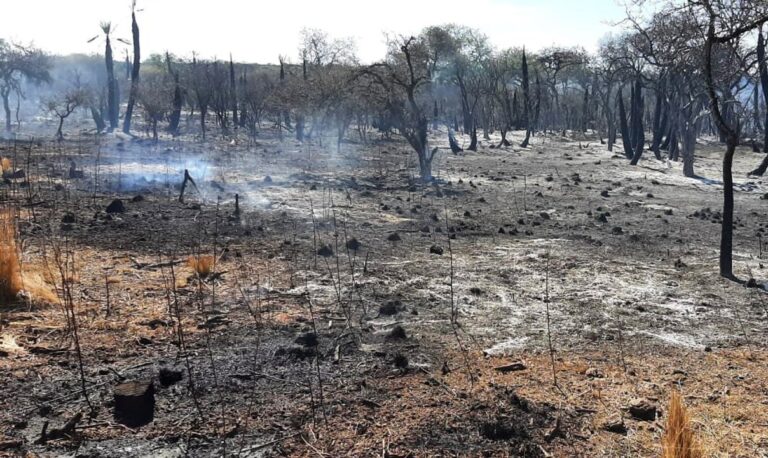 Brigadistas contienen el incendio en Guasapampa