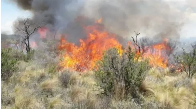 El incendio en Guasapampa sigue activo este jueves debido a las condiciones climáticas adversas