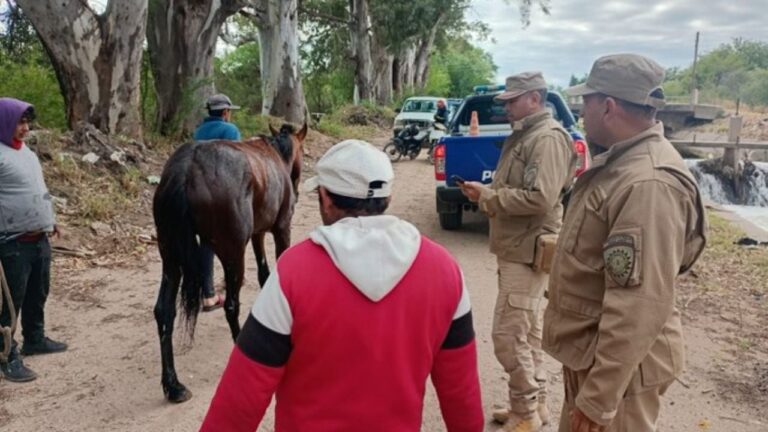 Un caballo fue salvado tras caer a un canal de riego en Las Playas