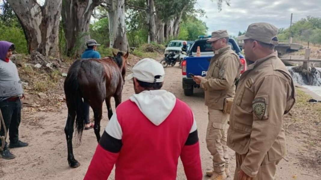 2318294-un-caballo-fue-salvado-tras-caer-a-un-canal-de-riego-en-las-playas