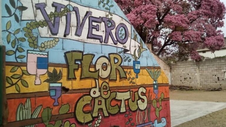 Plantas, decoración y música en vivo: no te pierdas la Feria Flor de Cactus