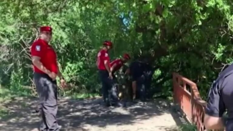 Habló la dueña del perro que encontró restos humanos en Córdoba