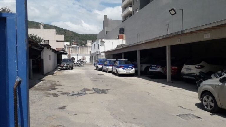 Detuvieron a un joven tras un arrebato y buscan a sus cómplices