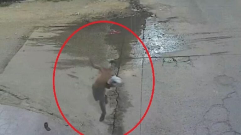 Fue detenido tras haber destrozado una cámara de vigilancia a piedrazos