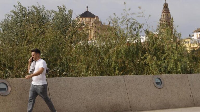 El Ayuntamiento de Córdoba inicia el proceso para limpiar el cauce río el próximo año