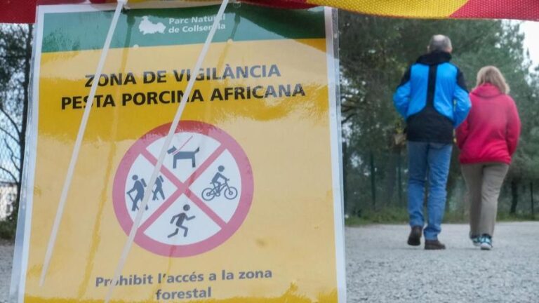 Llegan a Barcelona 80 militares de la UME para ayudar en el control de la peste porcina