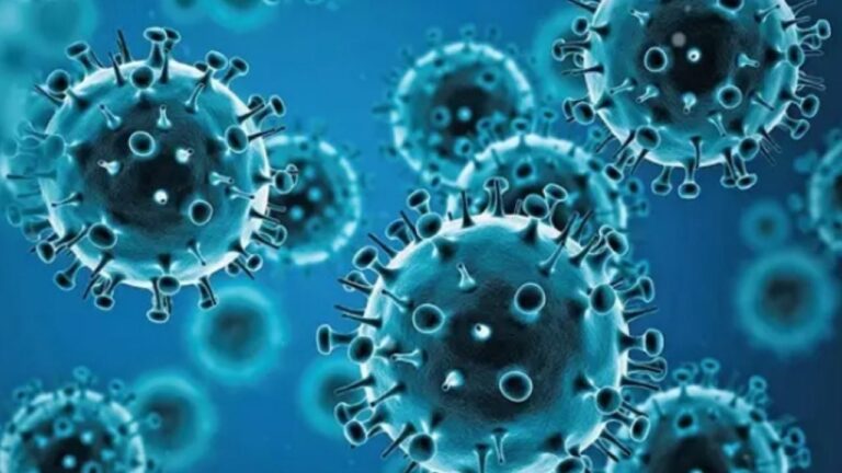 Detectaron tres casos de influenza A (H3N2) subclado K en Argentina