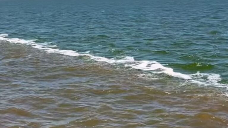 Un fenómeno natural sorprendió ayer en la Laguna de Mar Chiquita