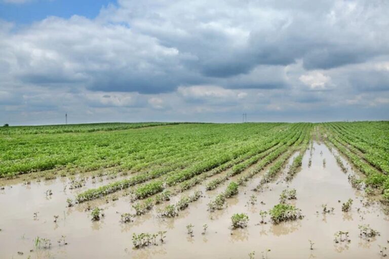 Detalles del seguro multirriesgo: inédita acción con cobertura frente a catástrofes climáticas