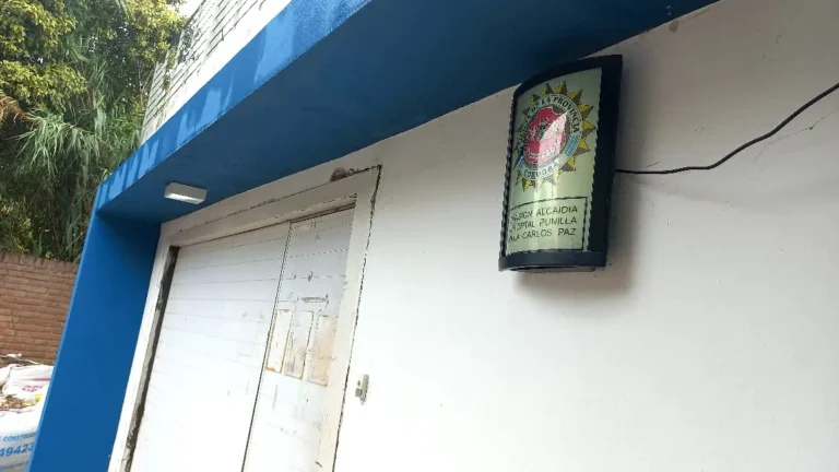 Carlos Paz: Después del brindis, le robó una cartera a una mujer pero fue atrapado por un vecino