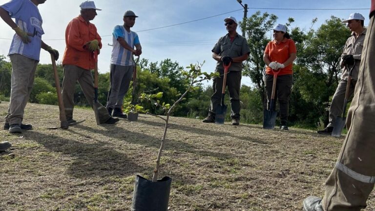 Carlos Paz sumó más de 500 árboles nativos y refuerza su patrimonio natural