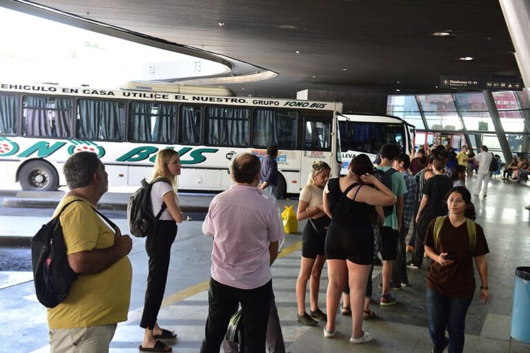 Guía para el festival: cuánto sale ir en colectivo a Jesús María y qué frecuencias hay