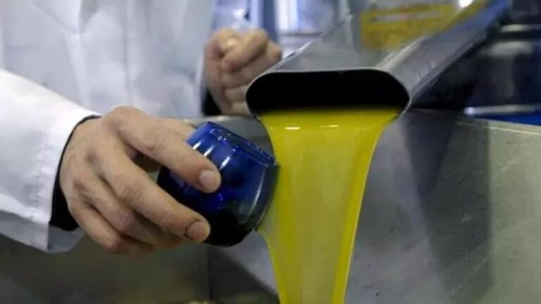 La Junta de Andalucía lleva el aceite de oliva virgen a 2.000 centros escolares