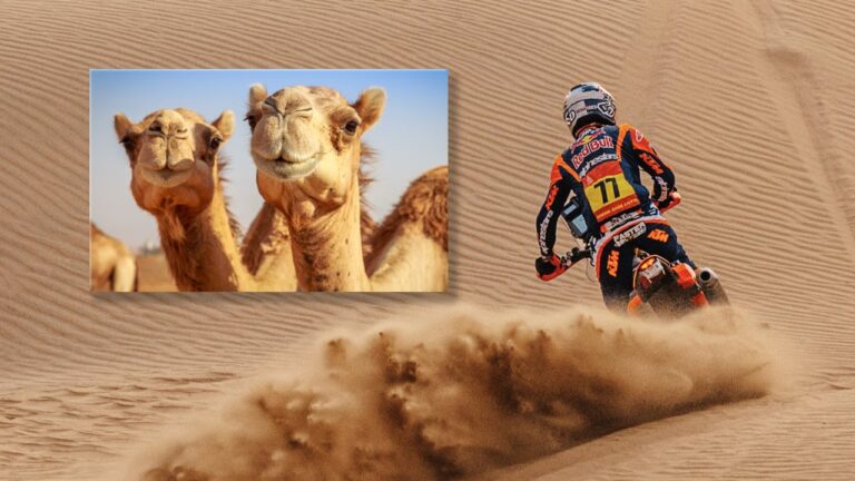Benavides y una ayuda tan insólita como inesperada en el Dakar