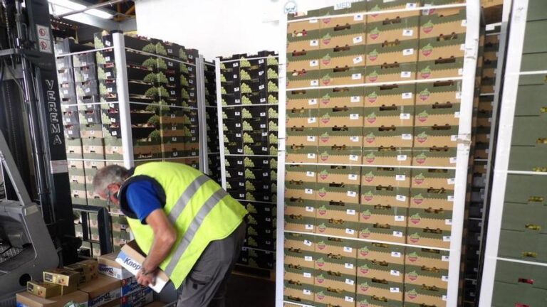 El Banco de Alimentos de Córdoba atendió en 2025 a más de 20.500 personas en situación de vulnerabilidad