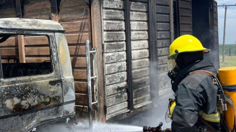 Un camión se incendió por completo cerca de Vicuña Mackenna