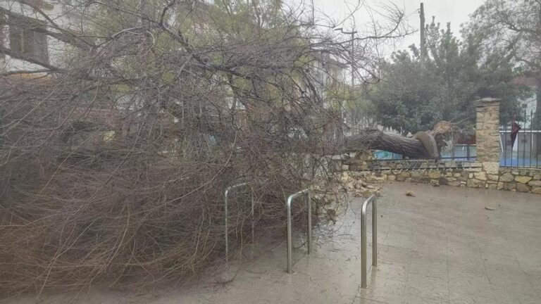 Baena activa Protección Civil y se prepara ante la posible caída de la red telefónica por la emergencia meteorológica