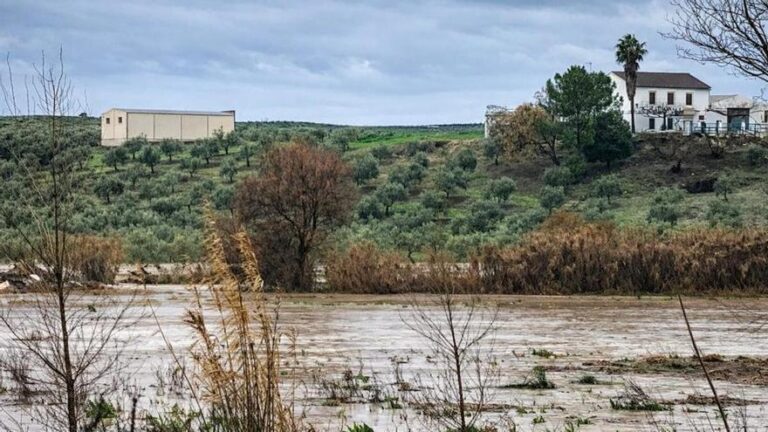 El temporal provoca cortes de carreteras, incidencias eléctricas y vigilancia del río Cabra, desbordado ya en Huertas Bajas