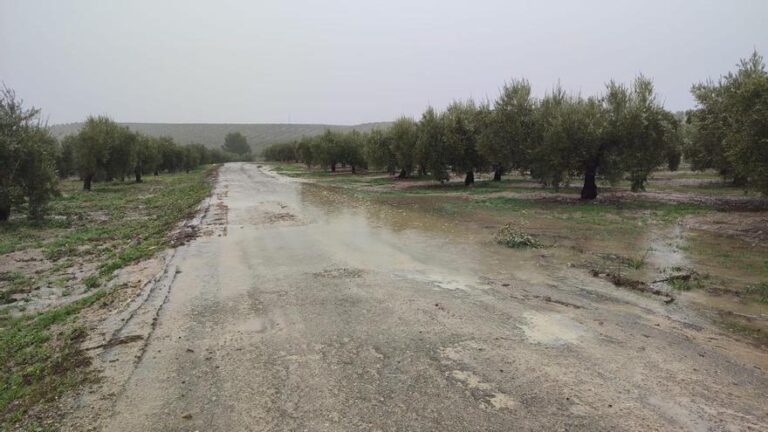 El pantano del Guadajoz pasa del 25% al 70 % y comenzará mañana a desembalsar