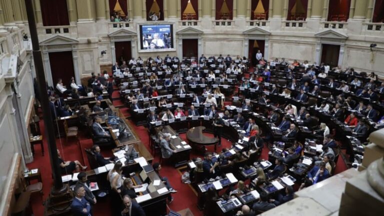 El Gobierno celebró la media sanción del proyecto del Régimen Penal Juvenil