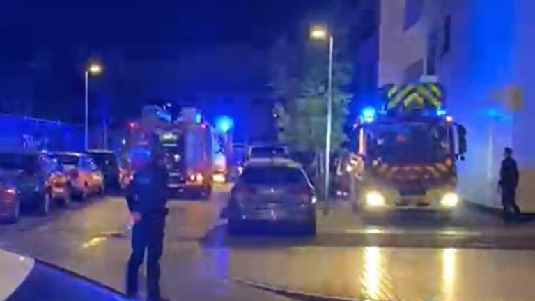 Susto en la avenida Virgen de las Angustias de Córdoba
