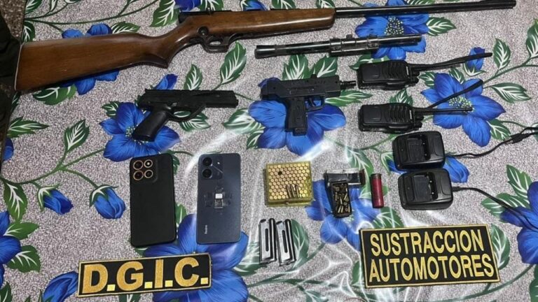 Caen siete integrantes de una banda que robaba autos y casas