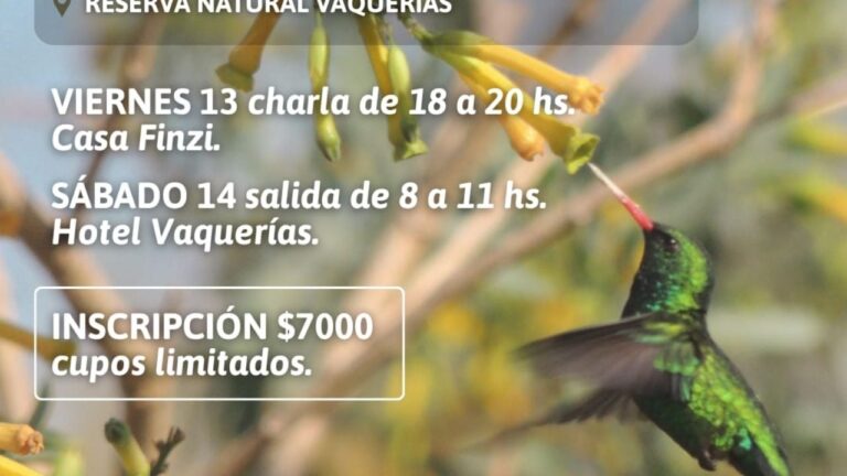 Dictarán en Vaquerías un taller para aprender a reconocer aves