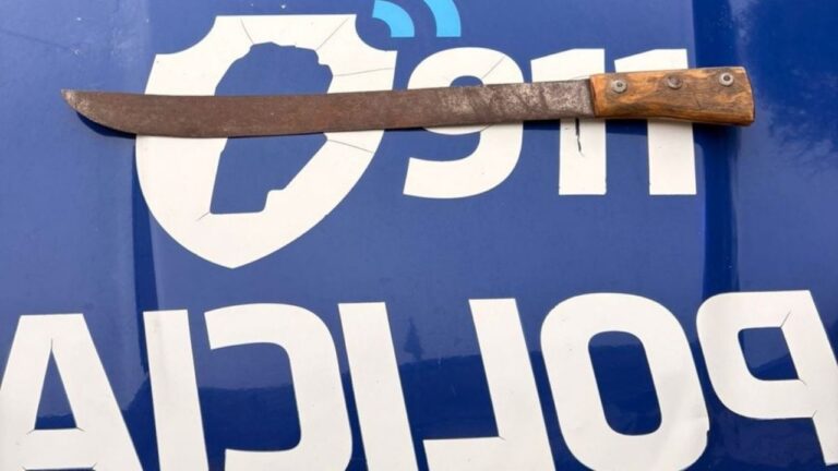 Discutían y uno sacó un machete para atacar a su vecino