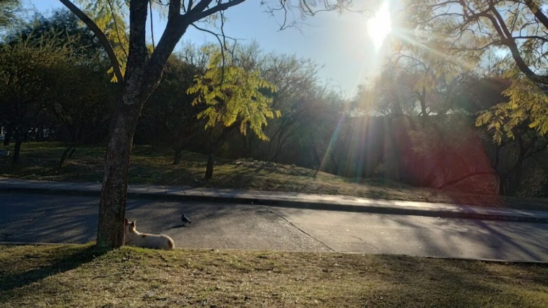 Vista de la ciudad de Córdoba con cielo despejado y sol