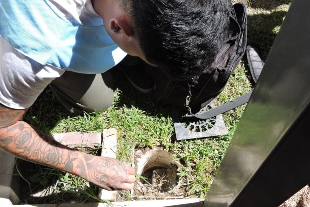 Promotor de salud revisando un recipiente en busca de larvas de mosquito en un patio cordobés.