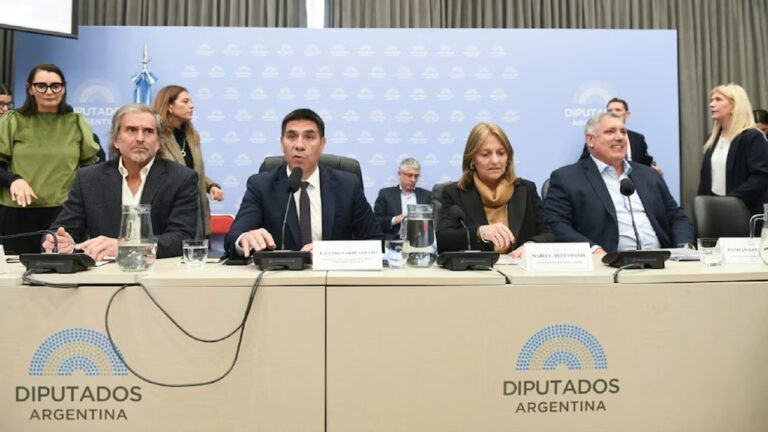 Sesión de la Cámara de Diputados con debate sobre Zonas Frías