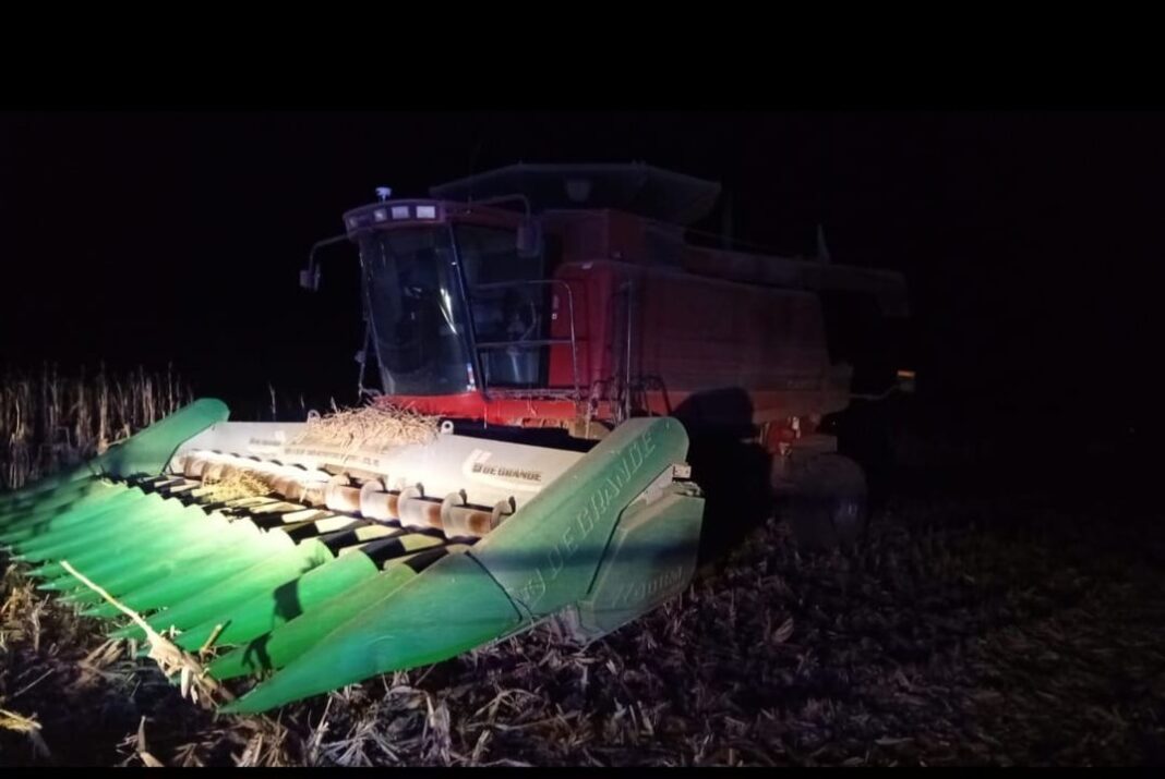 Campo agrícola en Alto Alegre donde ocurrió el accidente laboral